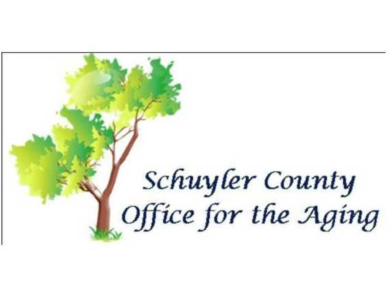 Schuyler County DSS